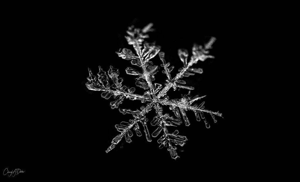 Snowflakes, crystals, and&nbsp;ice